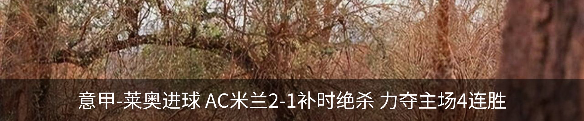 新闻中心